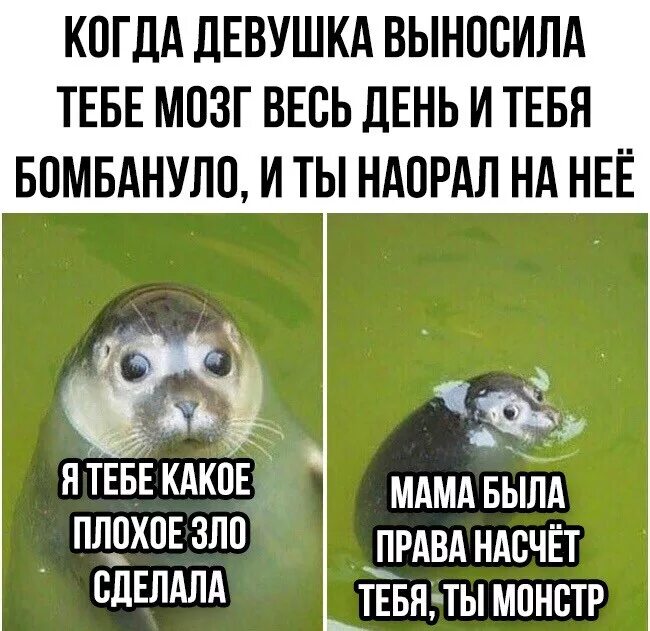 какие ваши предложения мем. насчет предложение. картинка как насчет. коротко о настроении. насчет бывшей.