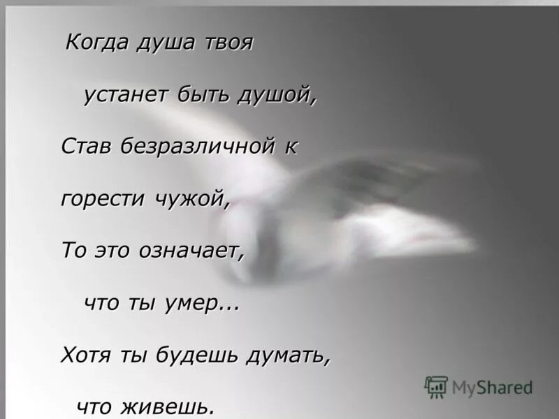 Когда душа твоя устанет быть душой. Душа устала стихи. стихи про усталость души. израненная душа стихи. моя душа устала.