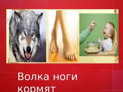 Что значит кормить волка