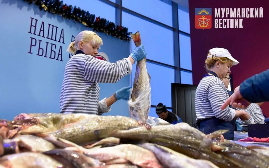 Рыбные деликатесы мурманска. Мурманск рыбалка в баренцевом. Ярмарка наша рыба в мурманске. Мурманск форум рыбная. Рыбная ярмарка в мурманске.