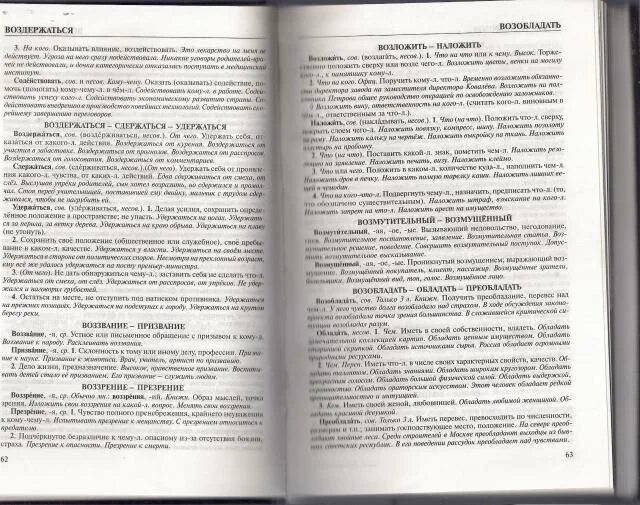 Словарь паронимов русского языка. Словарь паронимов русского языка Вишнякова. Паронимы из словаря. Словарь паронимов русского языка Вишнякова книга. Словарь паронимов егэ 2024 со значениями