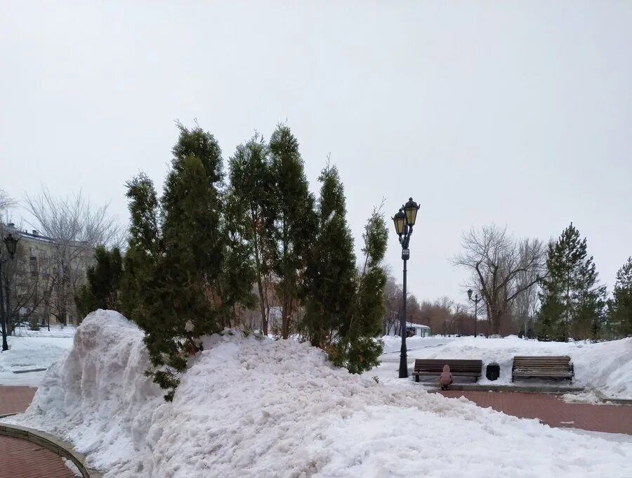 Все взморье утопает в свежем снегу