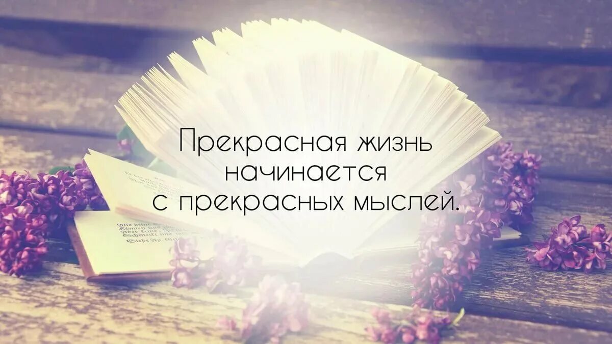 Оказывается жизнь прекрасна. Цитаты. прекрасная жизнь начинается с прекрасных мыслей. жизнь прекрасна высказывания. красивые мысли.