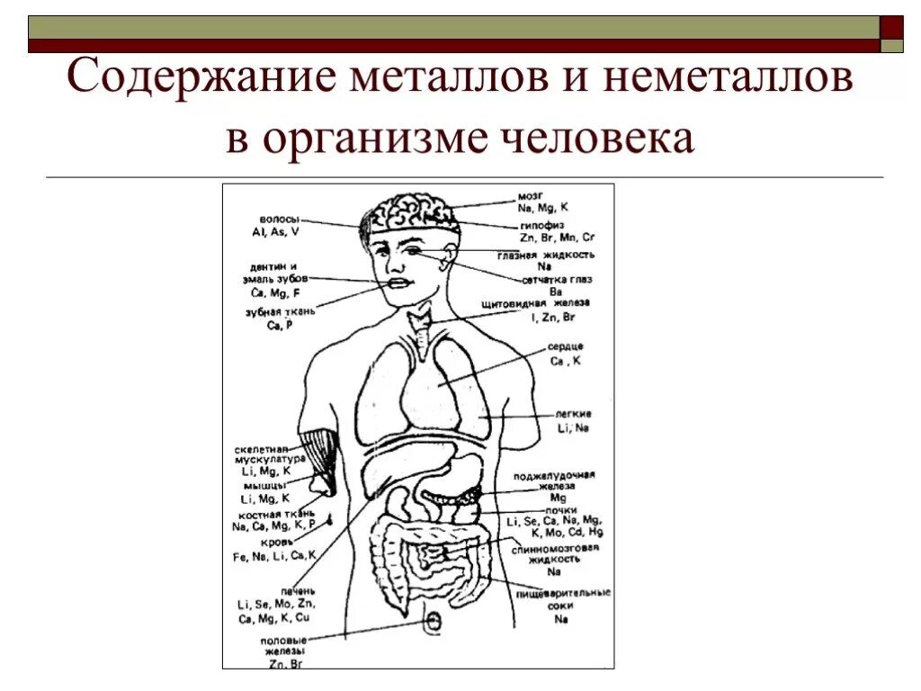 Элементы металлы в организме человека. Содержание металлов и неметаллов в организме человека. Содержание металлов в организме человека. Металлы и неметаллы в организме человека.