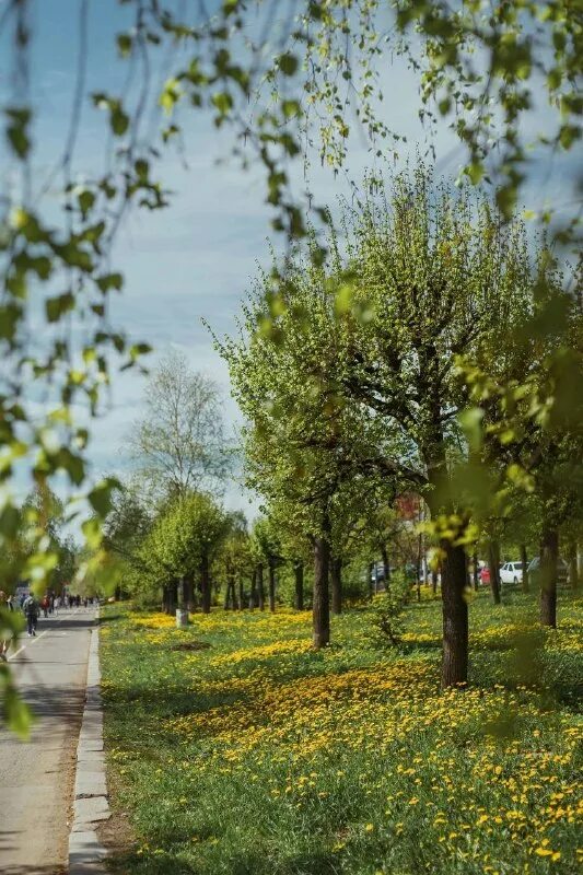 весенняя ижевск