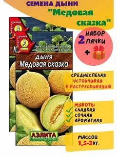Дыня сказка описание сорта