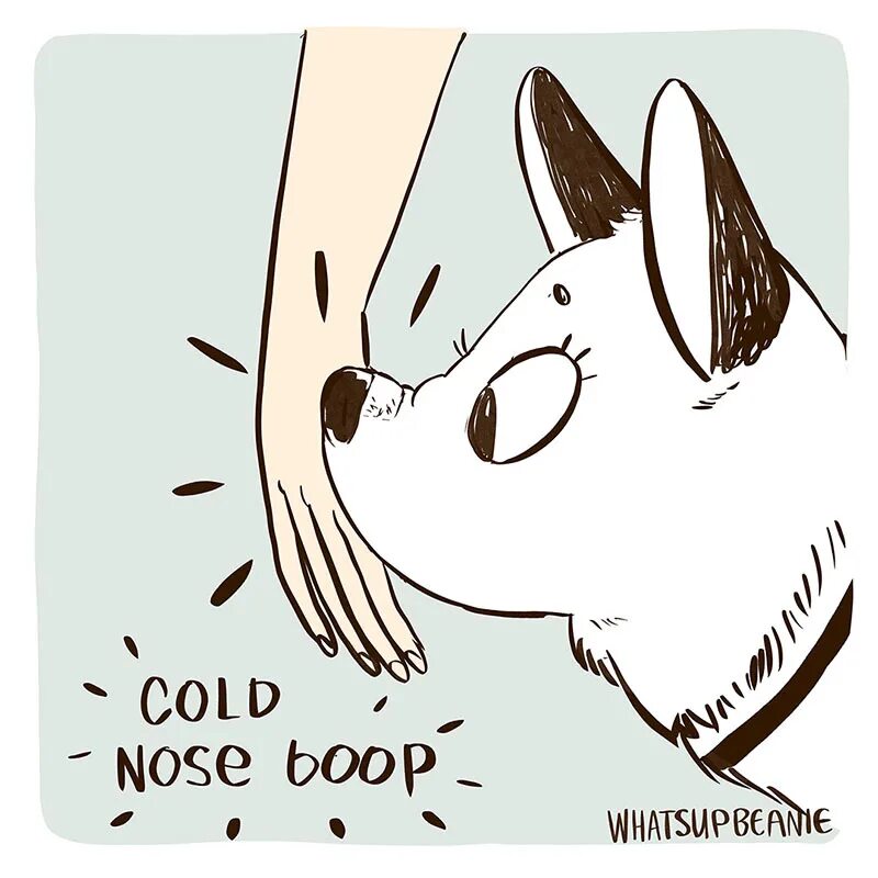 Boop nose. Boop нос. Boop собаке. Boop котик. Boop перевод