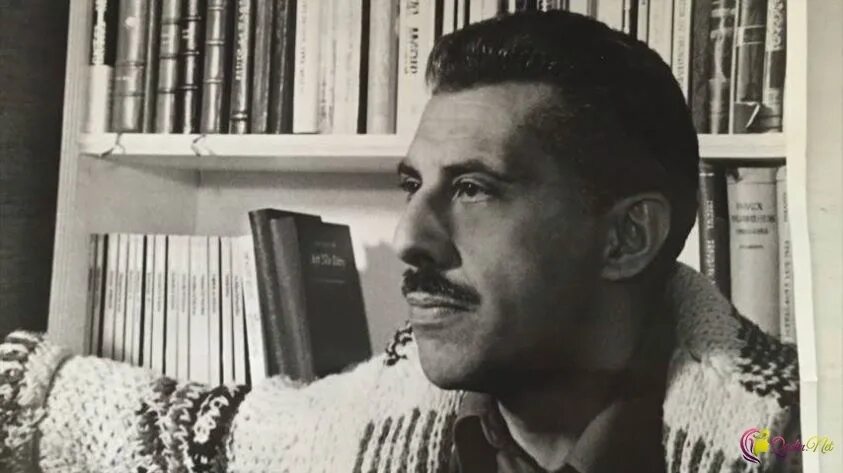 Шамуза идрис. Шах идрис "шах идрис суфии". Кто такой идрис шах. Идрис индия. Идрис шах "мыслители востока".