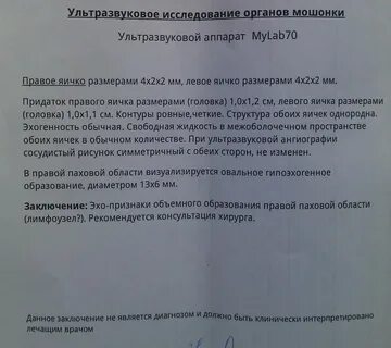 Грыжа узи заключение