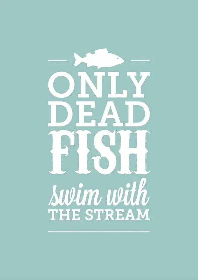 Go with the flow. Only Dead Fish go with the Flow. Only Dead Fish Swim with the Stream. Swim against the Tide.