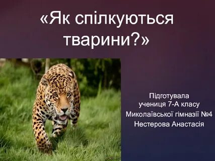 Яка тема
