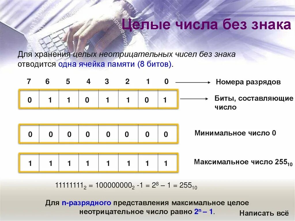 Входит ли 0 в целые числа. Целые числа без знака. целые числа табличка. 8 разрядная ячейка памяти. целые числа обозначение.