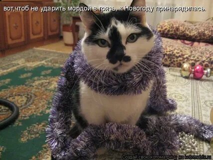 Принарядиться