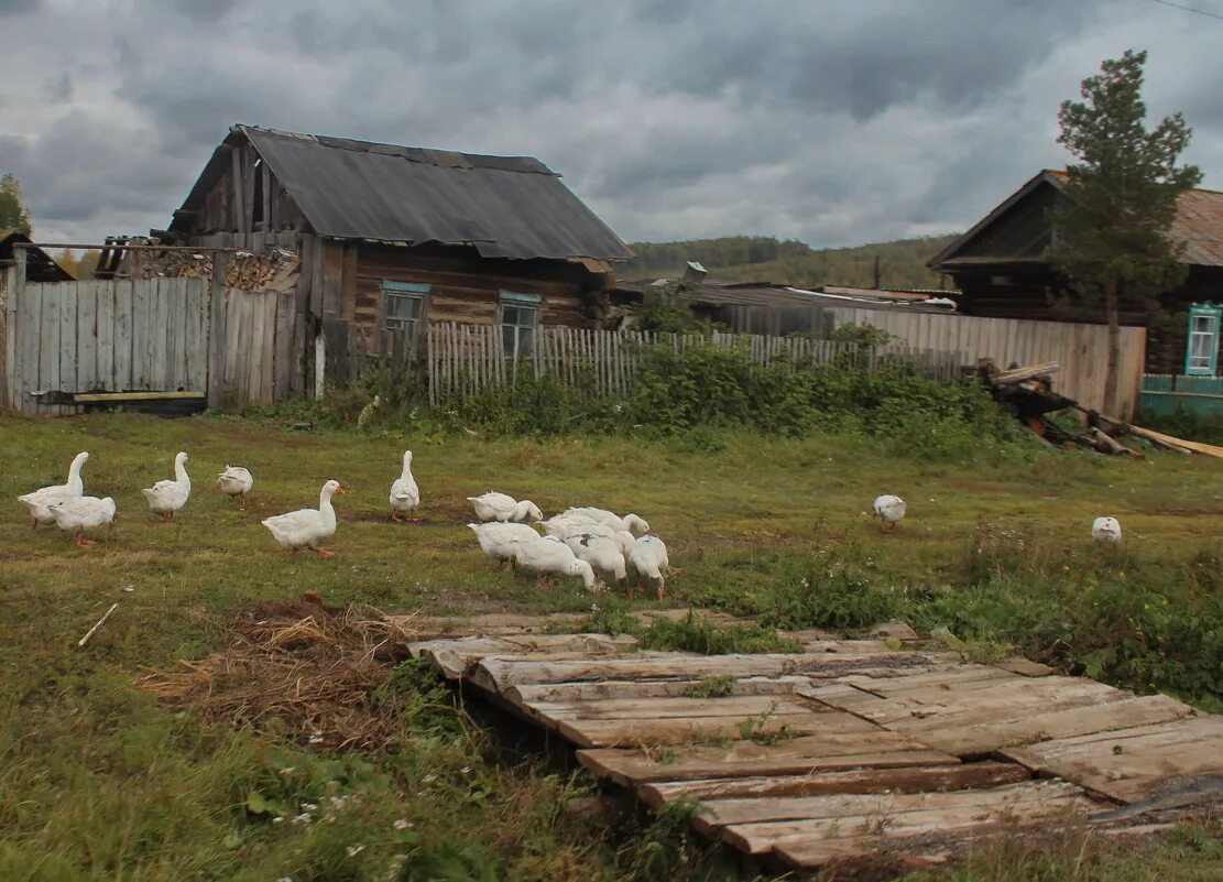 Сельские писатели