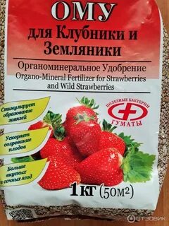 Азотные удобрения для клубники