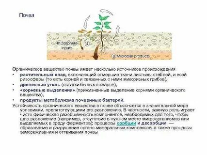 Разложение в органической химии