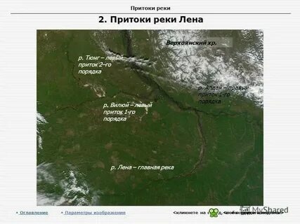 Основные притоки реки лена правые и левые