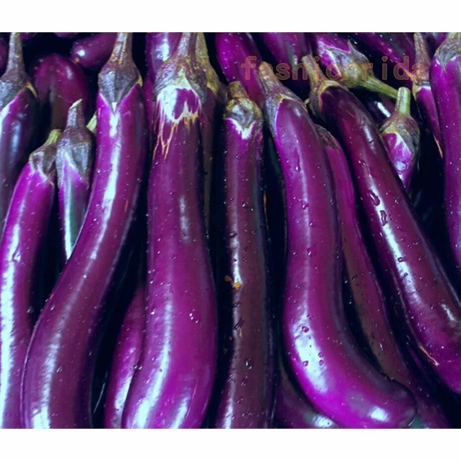 Цветные баклажаны. Баклажан Лонг Парпл 3. Long Purple Eggplant. Сорт баклажан long Purple. Eggplant Purple цвет.