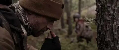 Охота на волка 2020