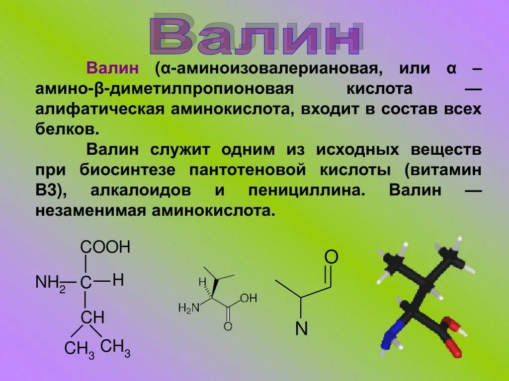 Валин для чего. Валин кислота формула. формула валина аминокислоты. валин структурная формула аминокислота. 2-амино-3-метилбутановая кислота валин.