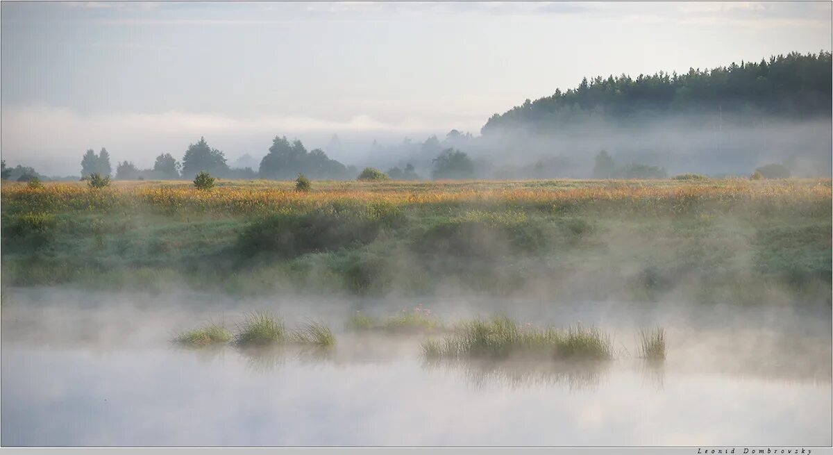 Туман стелется. Город вятка речка туман. Туманное утро. Где то стелиться туман. Пелена.