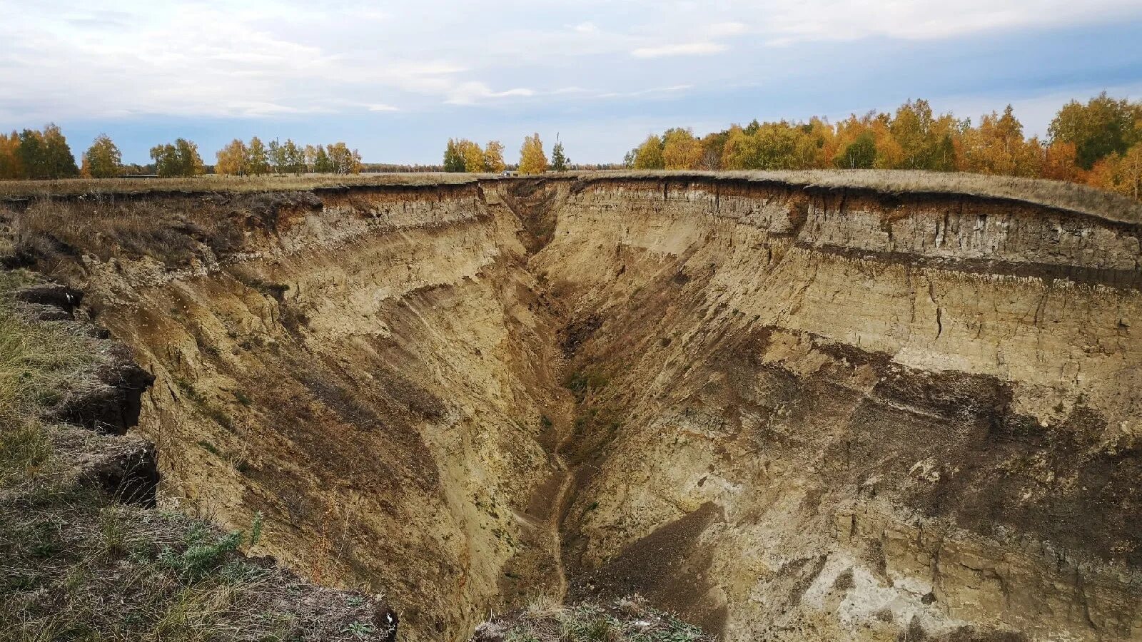 Берег Драверта Омская область. Горьковский район берег Драверта. Берег Драверта Горьковский район Омская область. Урочище берег Драверта Омская область. Берег драверта