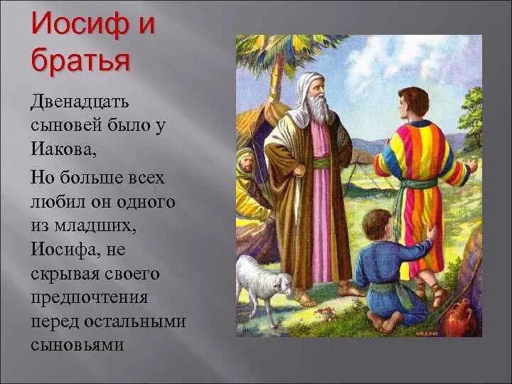 Брат иакова в библии. Иосиф и его братья 12 сыновей Иакова. Иосиф младший сын Иакова. Иосиф Ветхий Завет. Иосиф Библия Ветхий Завет.