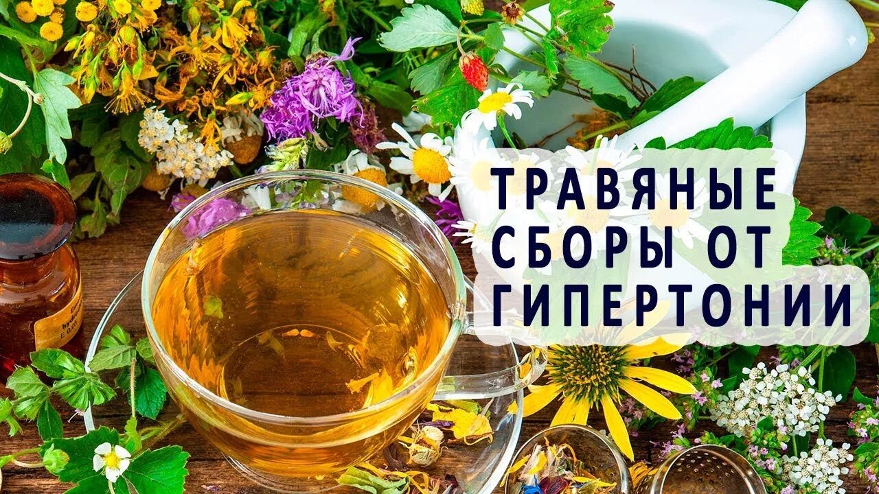 Чай гипотензивные травы. Травяные сборы. Травы для гипертоников. Травы от давления. Фитотерапия при артериальной гипертонии.