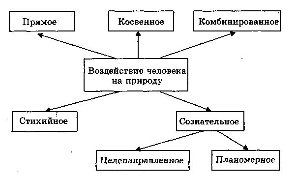 Примеры влияния природы на деятельность человека. Влияние человека на природу схема. Влияние человека на природные экосистемы.. Влияние человека на природу с8ема. Схема влияние человека на экосистему.