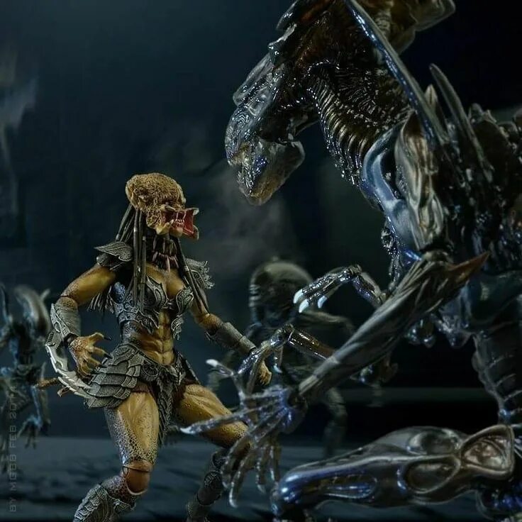 Alien vs Predator Colonial Marines Королева. Чужой против хищника 2004 Королева. Чужой против хищника 3. Queen чужих vs Predalien. Видео чужой против чужого