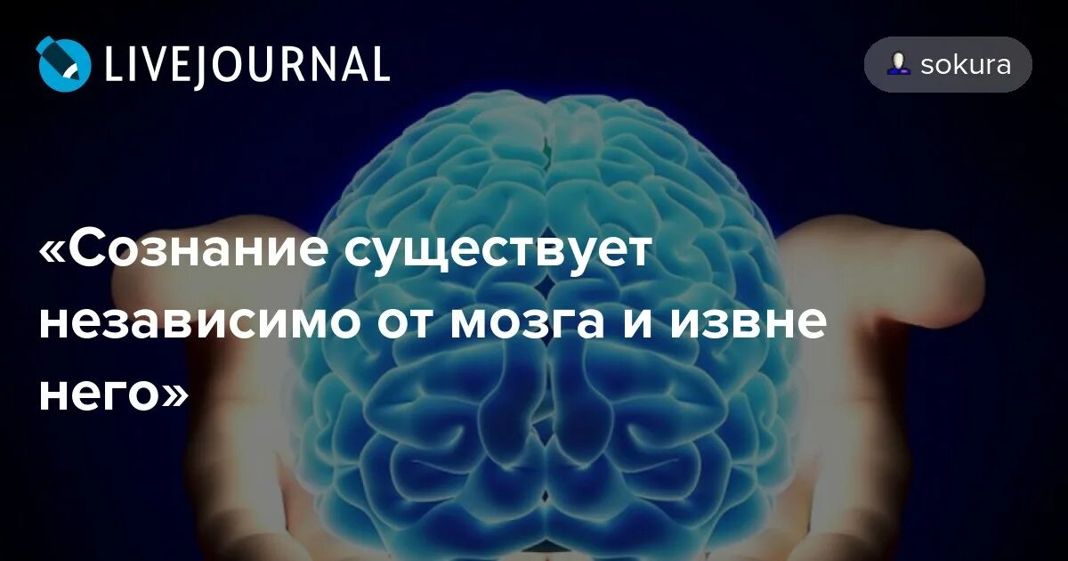 Сознание это высшая функция мозга. Мозг состоит из сознания и подсознания. взаимосвязь мозга и сознания. сознание отдельно от мозга. сознание существует отдельно от мозга.