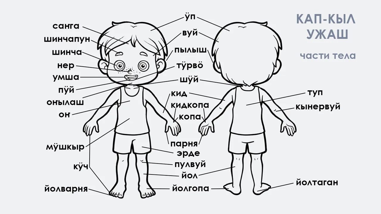 Части тела человека. Человек с подписанными частями тела. Подписать части тела. Название частей тела человека рисунок.