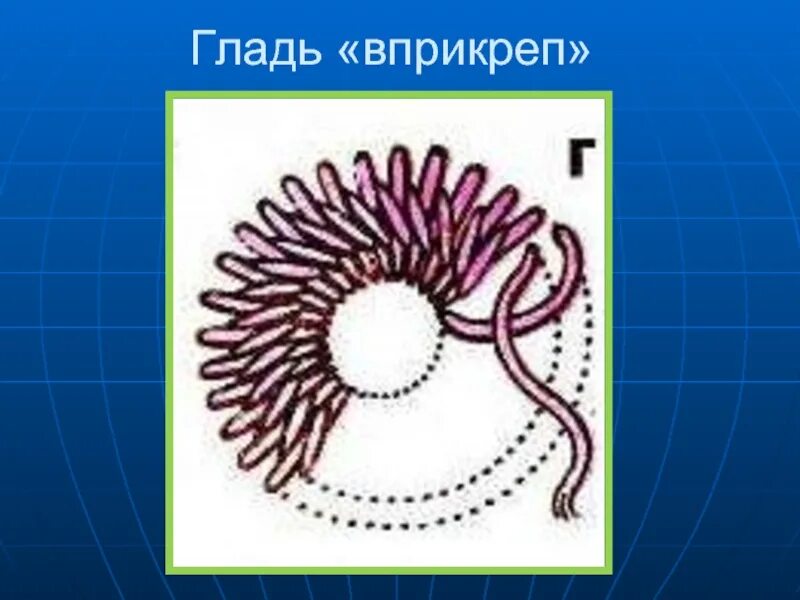 Значение слова заводь. Техника вышивания владимирской гладью. Значение слова гладь. Технология вышивки гладью. Двусторонняя гладь.