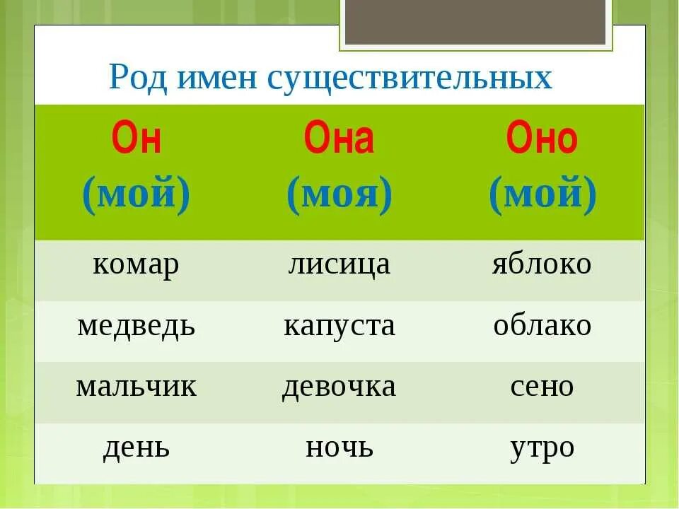 Россия мужского рода. Женский род имен существительных 2 класс. Как определить род 2 класс. Род существительных в русском языке 3 класс. Род имёнисещиствительных.