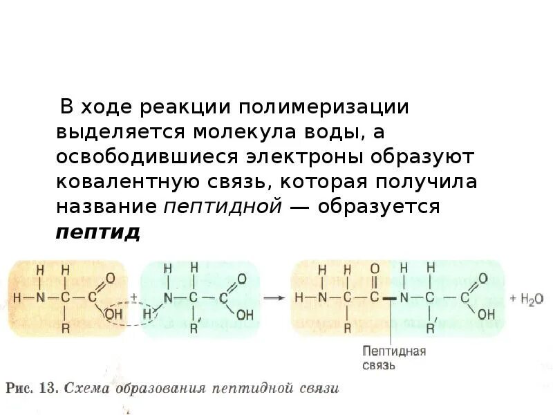 Картинки МОЛЕКУЛА КОТОРАЯ СПОСОБНА К ПОЛИМЕРИЗАЦИИ