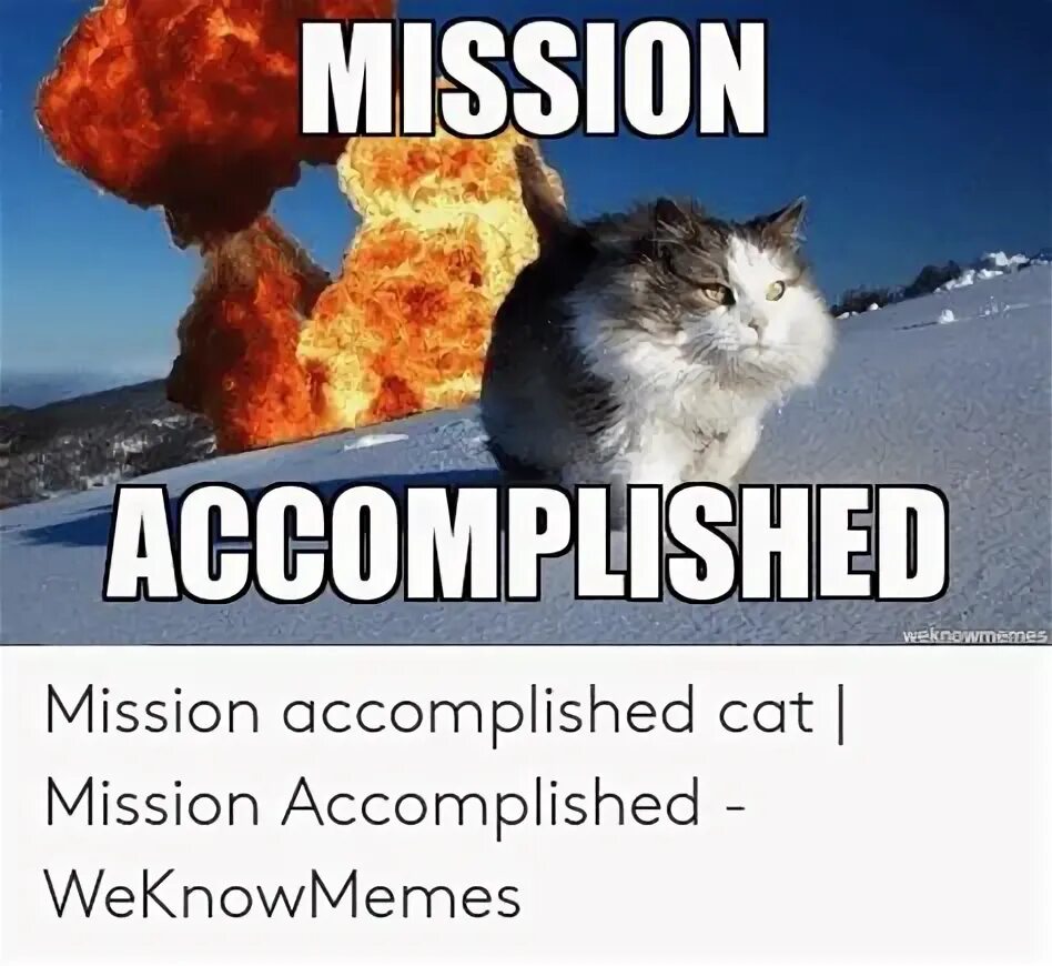 Mission completed мем. Mission complete Мем. Mission accomplished Мем. Миссия завершена. Миссион респект.