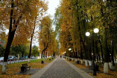 На улице золотая осень