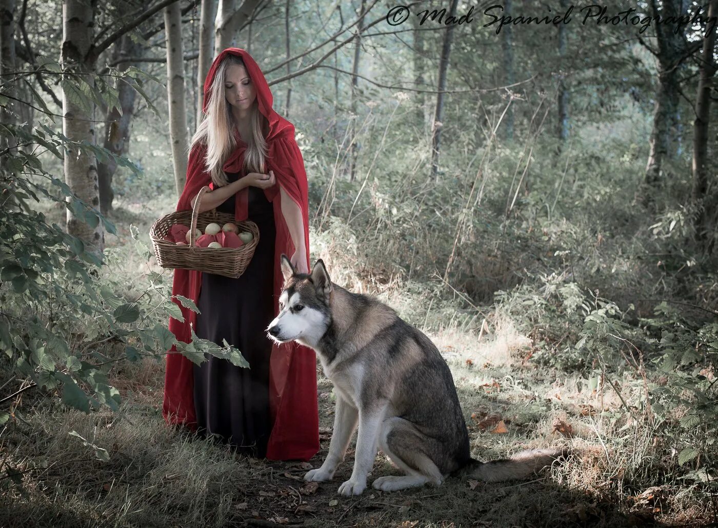 фотосессия красная шапочка. фотохудожник ирина нагорная-орешина. красная шапочка фотосессия. фотосессия красная шапочка. красная шапочка.