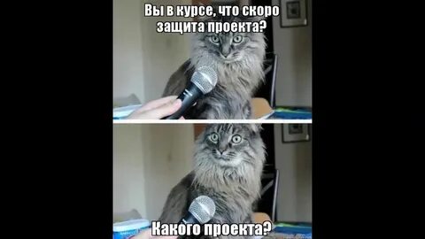 Героев у каждого есть свой