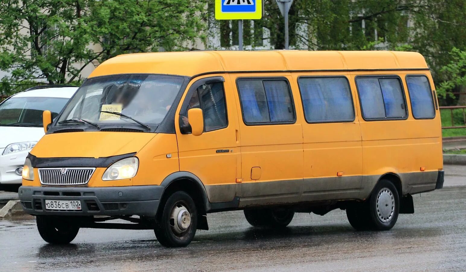 Газели елец