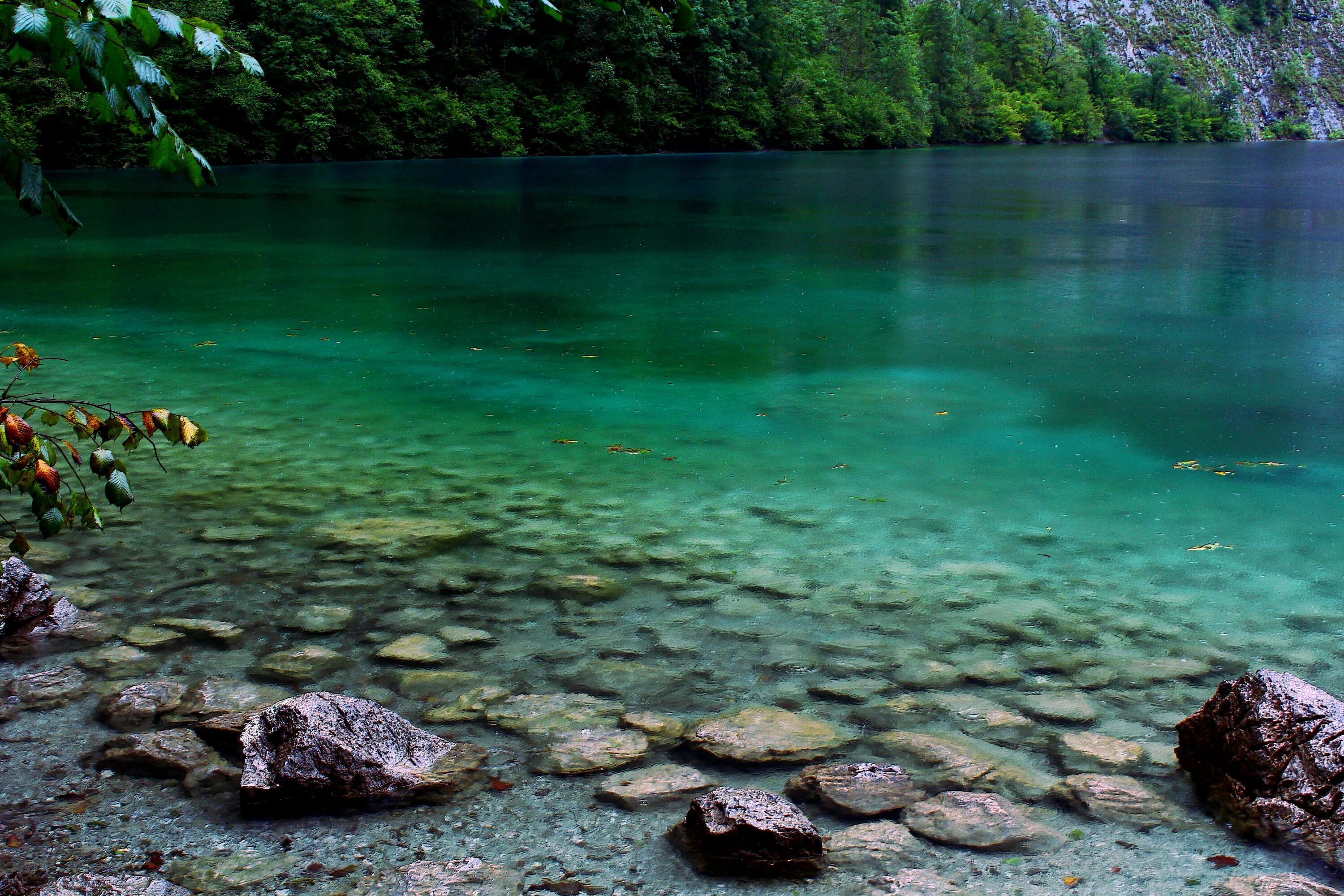 Вода озерца