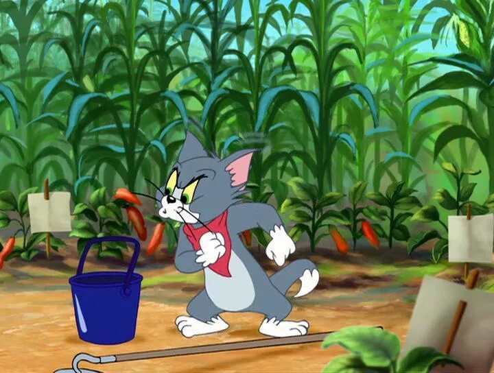 Tom jerry 2. Приключения Тома и Джерри. Том и Джерри сказки. Приключения Тома и Джерри 2006.