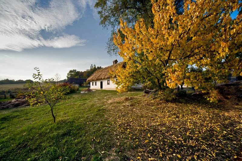 Country photos. Осень в деревне. Красивая осень в деревне. Деревня осенью. Небо осенью в деревне.