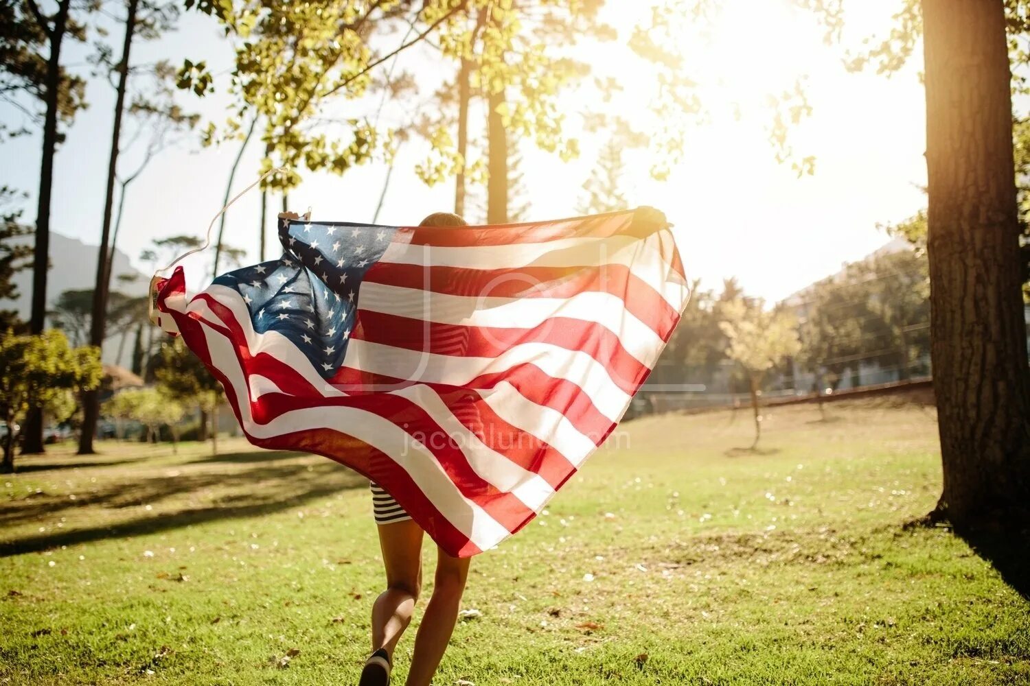 Flag run