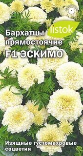 Бархатцы эскимо описание