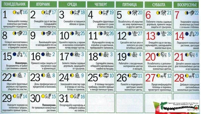 Лунный календарь на апрель 2024г картофель. Календарь садовода. Лунный календарь. Лунный календарь для посадки чеснока. Лунный календарь на октябрь посадка чеснока.