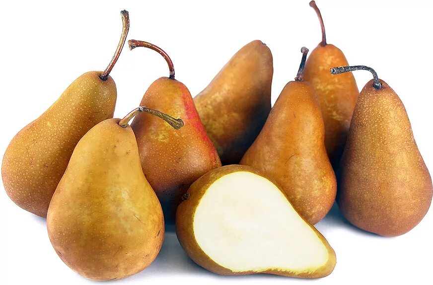 Mazzone pear. Груша Голден Боск. Груша бере Боск. Бере Боск (сорт груш). Груша золотисто-желтая "бере Боск.