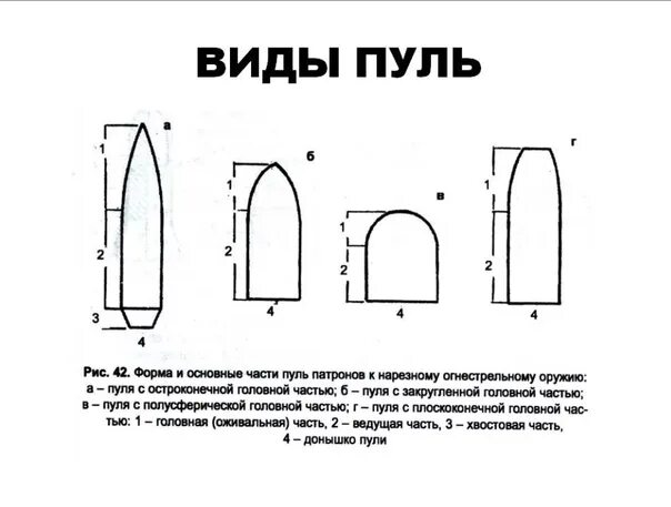 Строение головной части пули криминалистика. Формы головной части пули криминалистика. Формы головной части пули криминалистика. Формы пуль. Форма и основные части пуль патронов к нарезному.