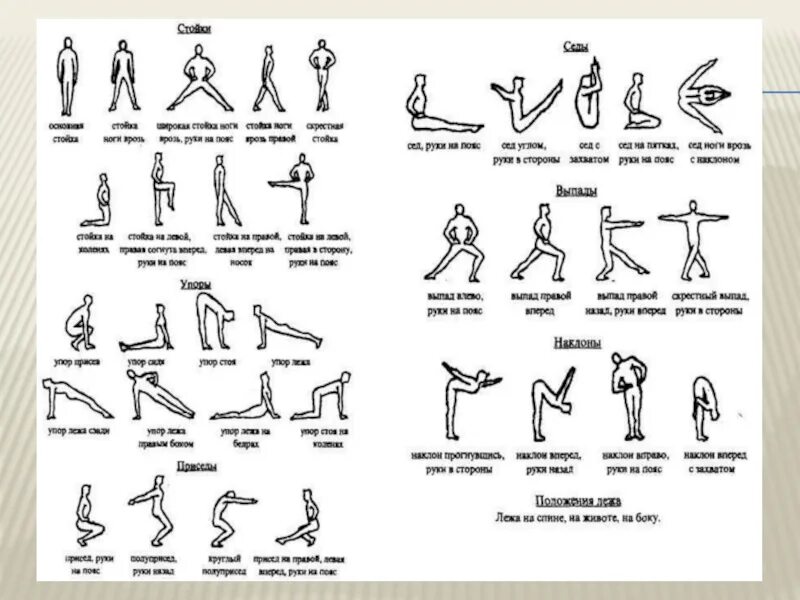 Стойки право. Гимнастика терминология гимнастических упражнений. Терминология общеразвивающих упражнений стойки. Исходные положения терминология гимнастика. Исходные положения в гимнастике.