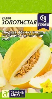 Дыня золотистая